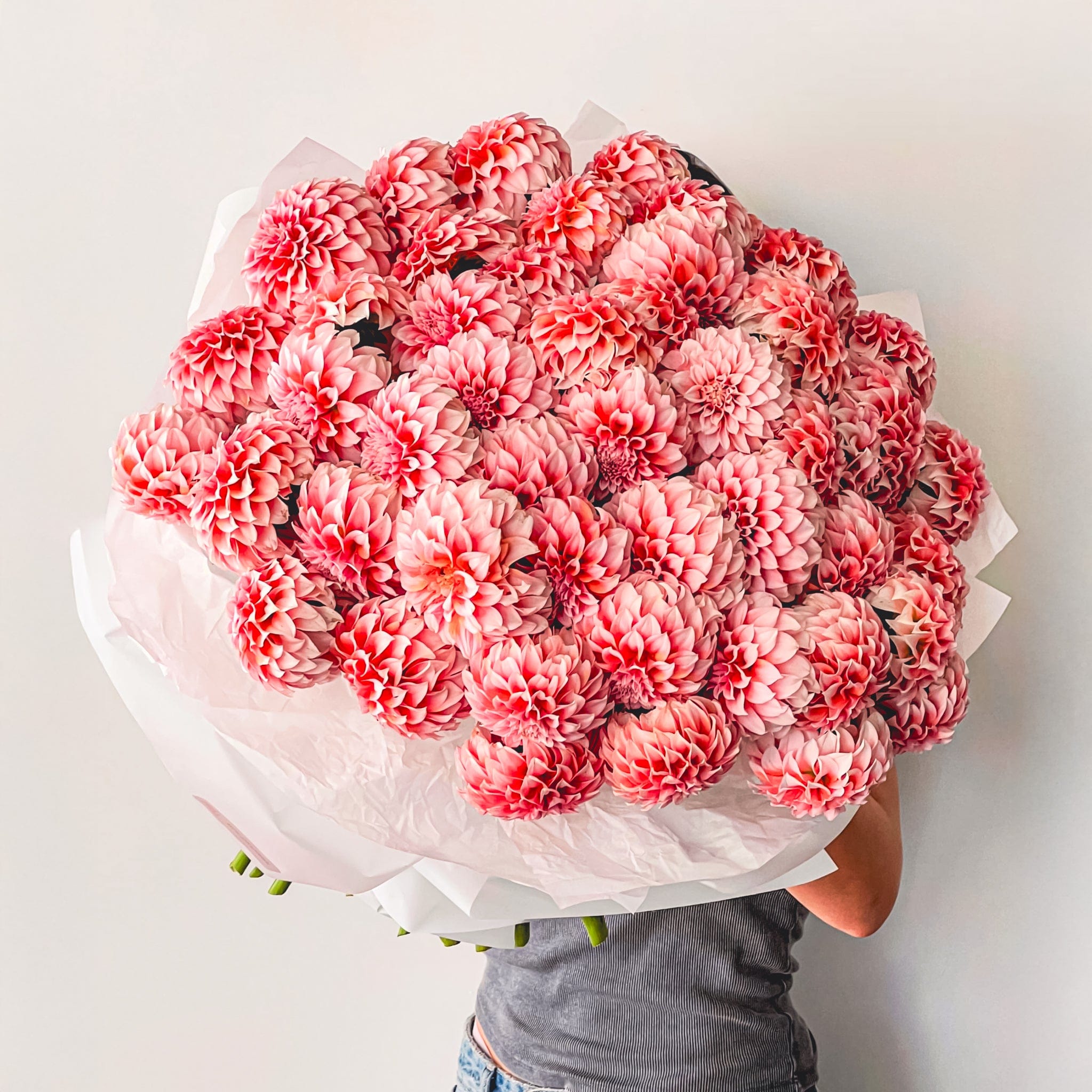 Blush Dahlia Cloud - Flowers Valley Shop