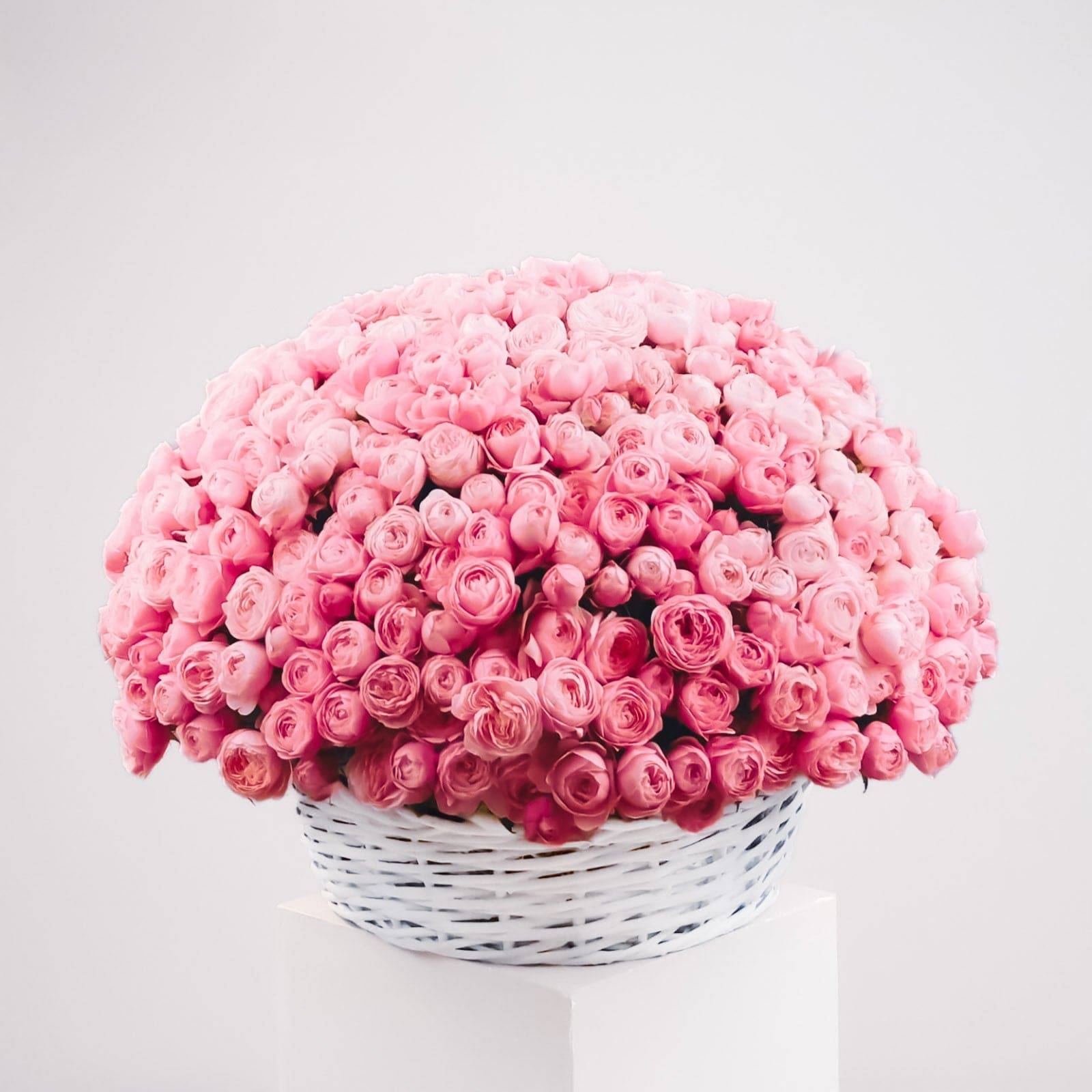 300 Garden Roses - Flowers Valley Shop