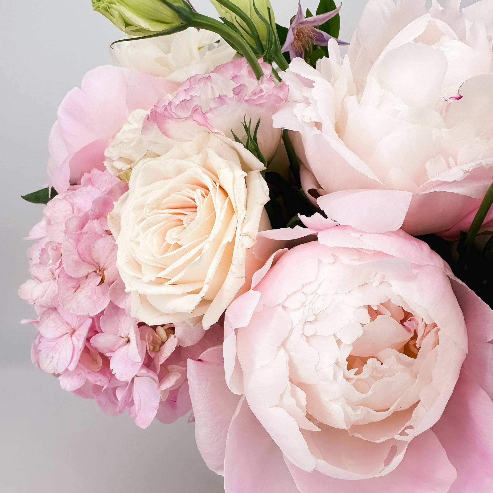 Blushing Aura - Flowers Valley Shop