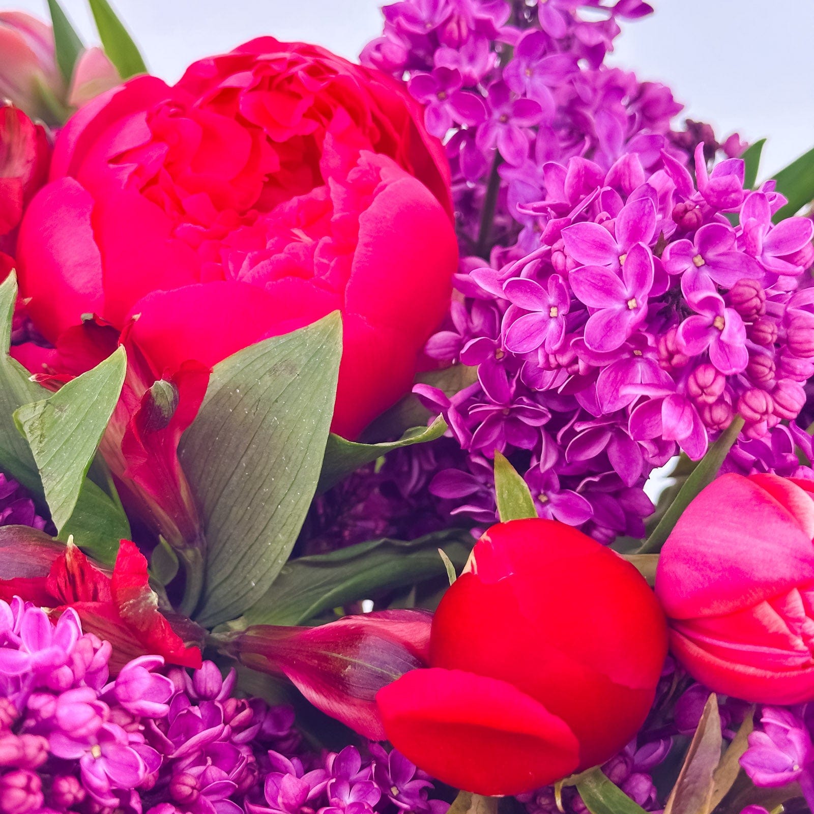 Berry Blush - Flowers Valley Shop