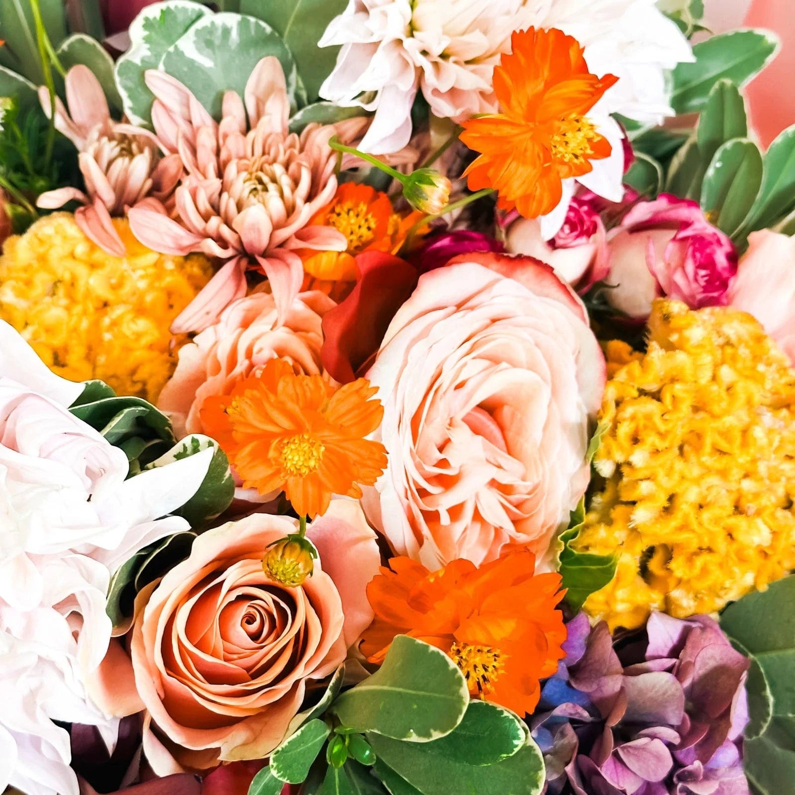 Luxury colorful bouquet with peach roses, coral dahlias, orange cosmos, and purple hydrangeas – Sunset Splendor