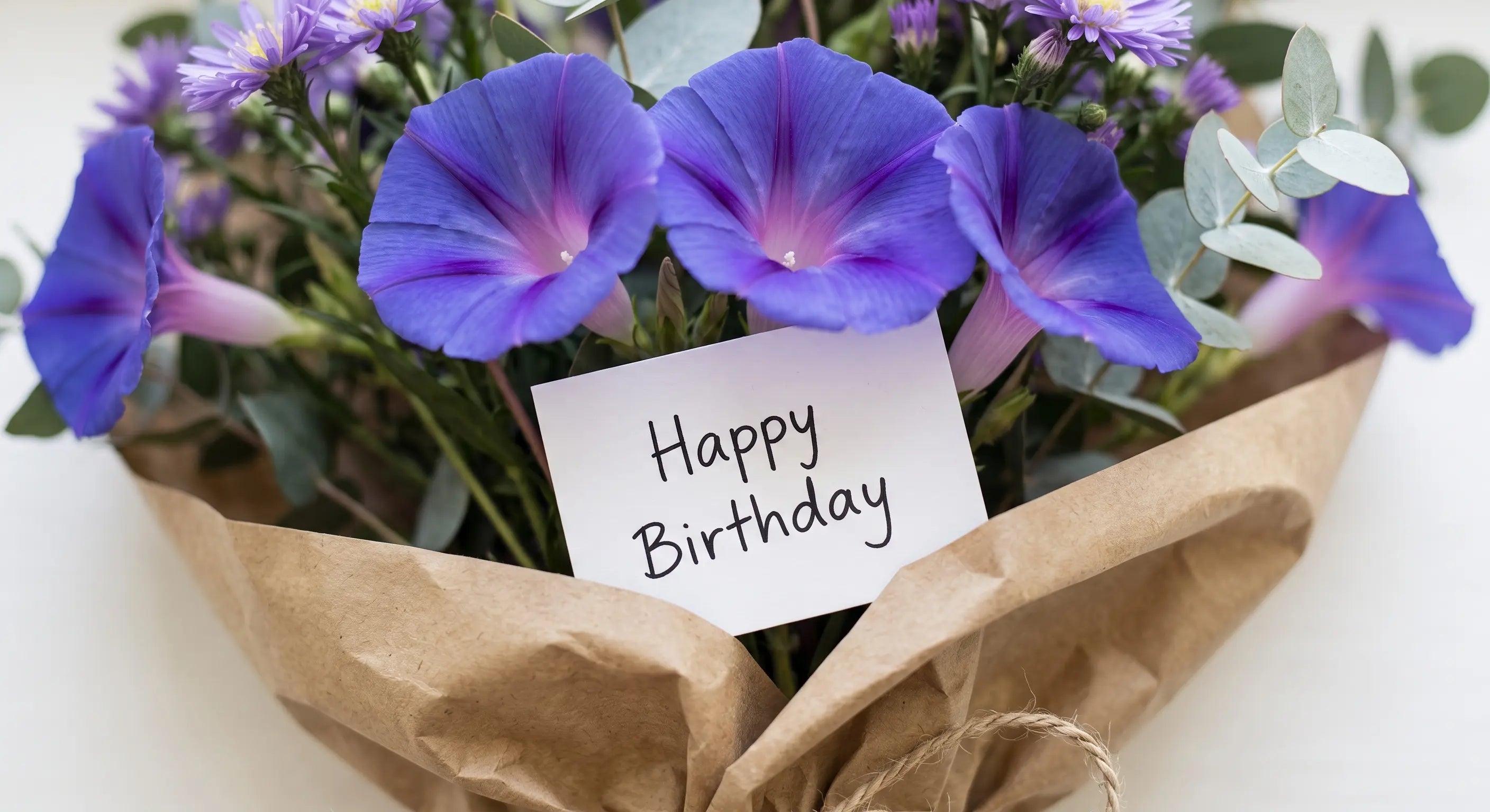 September Birth Flowers: Aster and Morning Glory — Meaning and Gift Ideas
