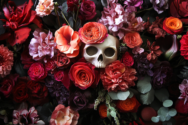 Day of the Dead Flowers: Symbolism, Meaning & Modern Uses