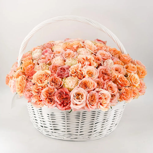 Luxury basket of 100 peach garden roses with blush and cream accents – next day delivery Bay Area