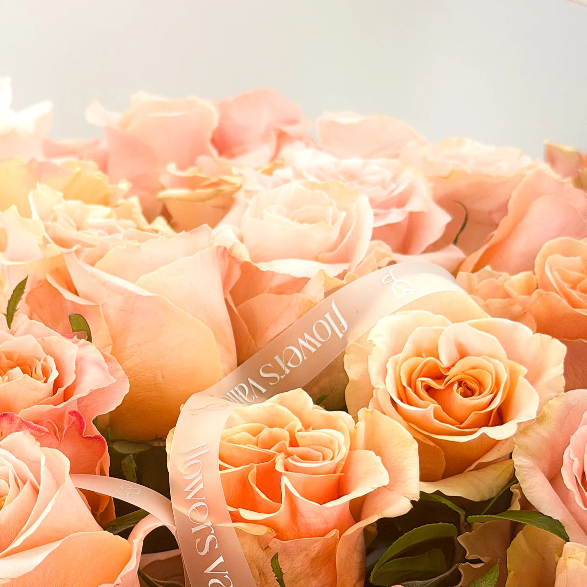 Peach garden roses with a 'Flowers Valley' ribbon.