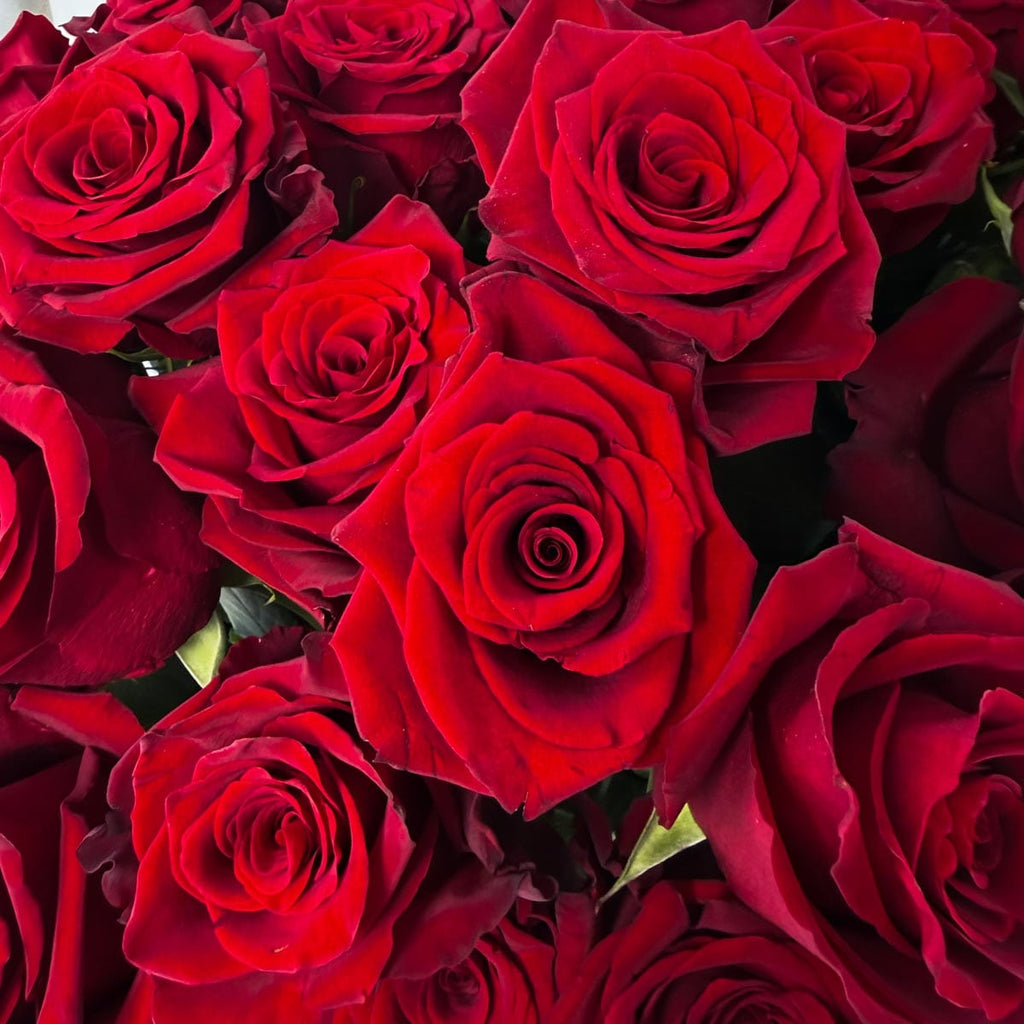 Close-up of a basket of 100 red roses