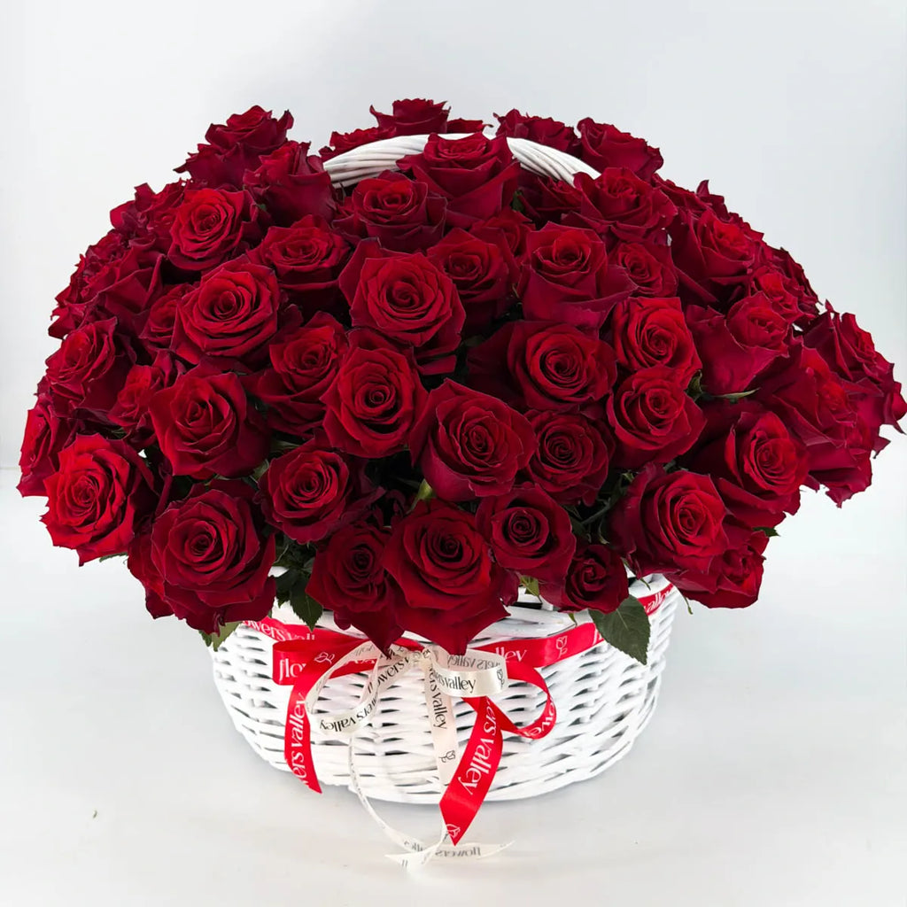 Bouquet of 100 red roses in a white basket  - premium packaging and modern style 