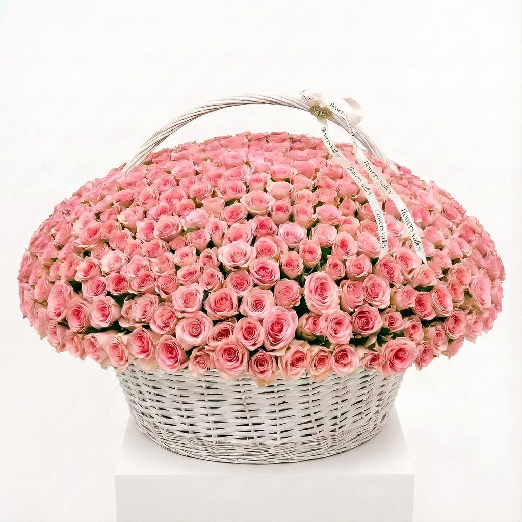 300 pink roses arranged in a large white basket by Flowers Valley