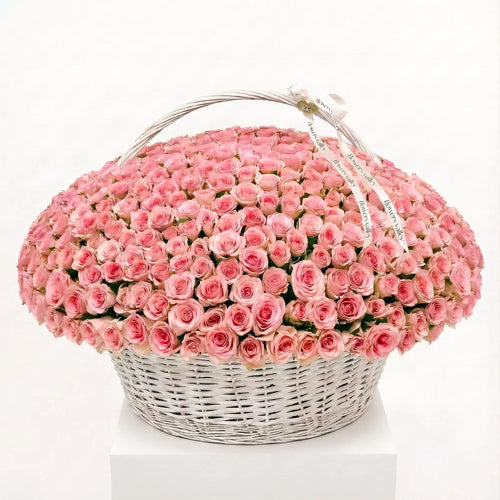 300 pink roses arranged in a large white basket by Flowers Valley