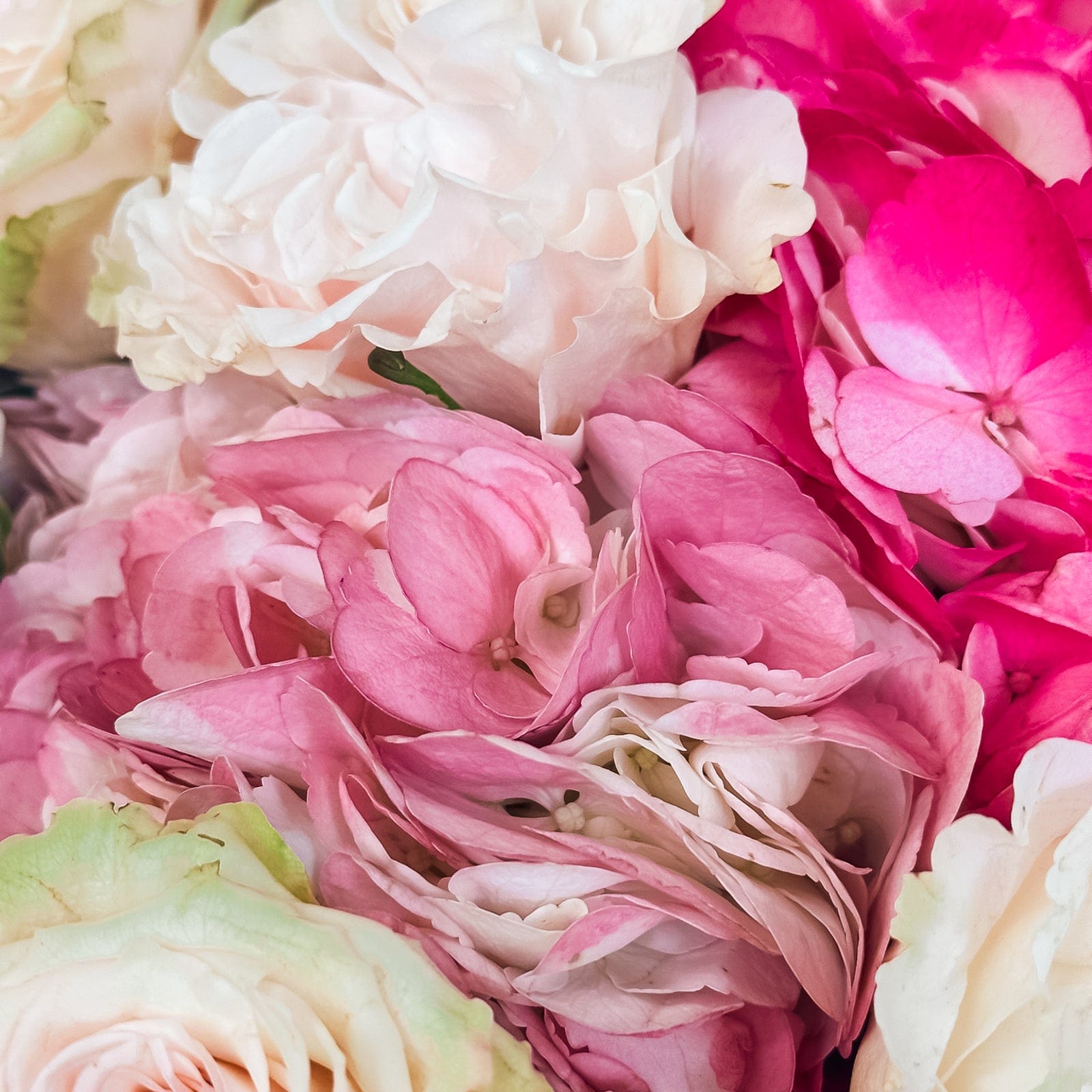 Cotton Candy Sky Pastel Bouquet | Hydrangea & Rose Mix – Flowers