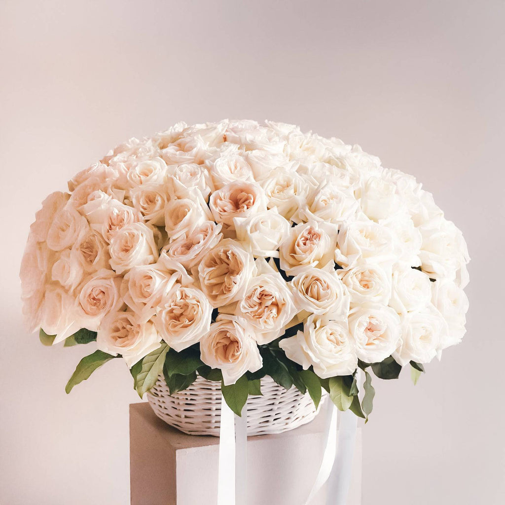 Elegant white basket filled with soft white O’Hara garden roses—lush, romantic, and perfectly arranged.