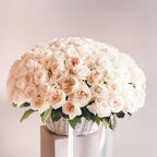 Elegant white basket filled with soft white O’Hara garden roses—lush, romantic, and perfectly arranged.