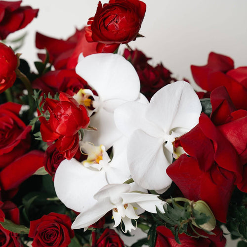 Close-up of red roses and cymbidium orchids from Blush of Love bouquet
