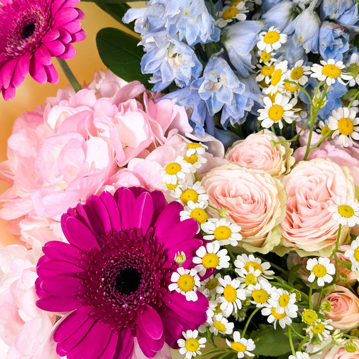Bouquet of colorful flowers including pink, purple, and white flowers.