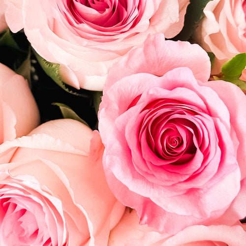 Blushing petals - Flowers Valley Shop