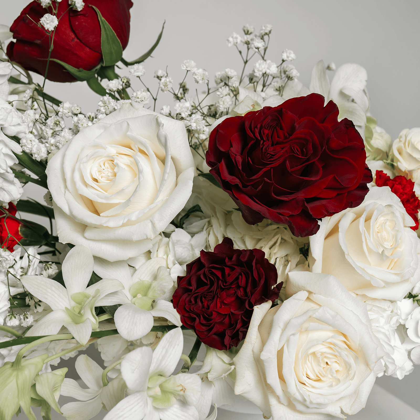 Close-up of burgundy and white roses in Burgundy Symphony bouquet