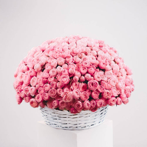 300 Garden Roses - Flowers Valley Shop