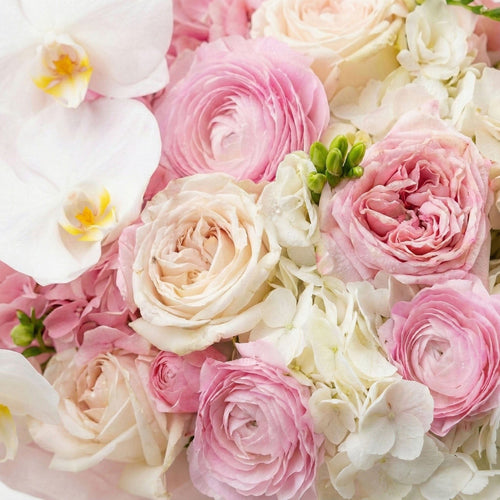 Blush Opaline