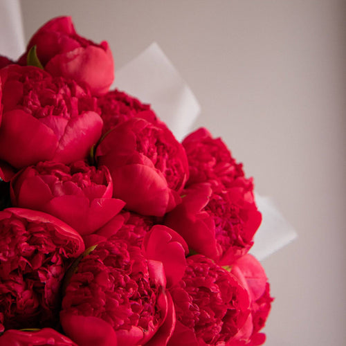 No.318 Burgundy Peonies at Flowers Valley Shop