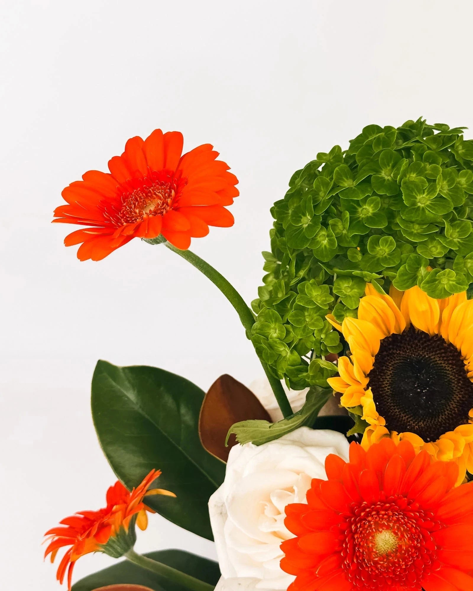 Close-up of Autumn Cheer Pumpkin Arrangement with gerbera, sunflower, and white rose