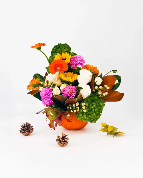 Autumn Cheer Pumpkin Arrangement with sunflowers, gerberas, dahlias, and roses in pumpkin base