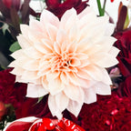 Close-up of blush dahlia bloom from Crimson Symphony floral arrangement, paired with red roses and textured accents.
