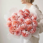 Blush Dahlia Cloud