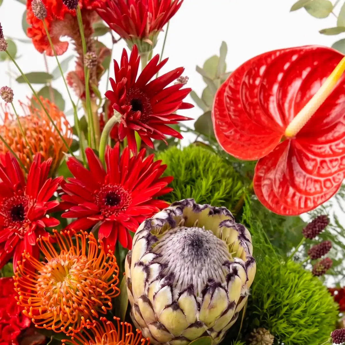 Close-up of red anthurium, red gerbera, protea, and orange pincushion protea in Flowers Valley arrangement