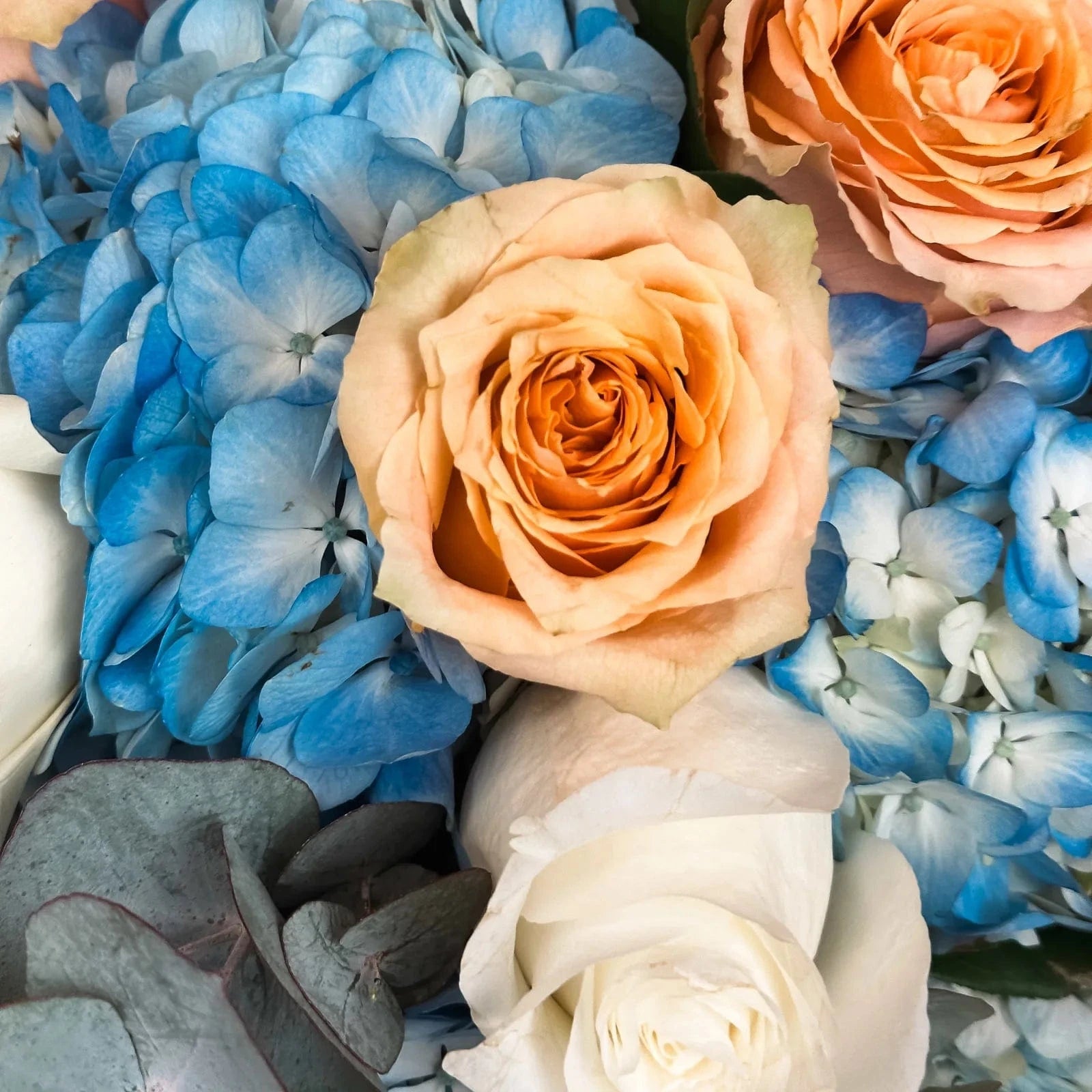 Close-up of Peach Garden Bouquet showing delicate peach roses and blue hydrangeas with rich texture and elegant wrapping.
