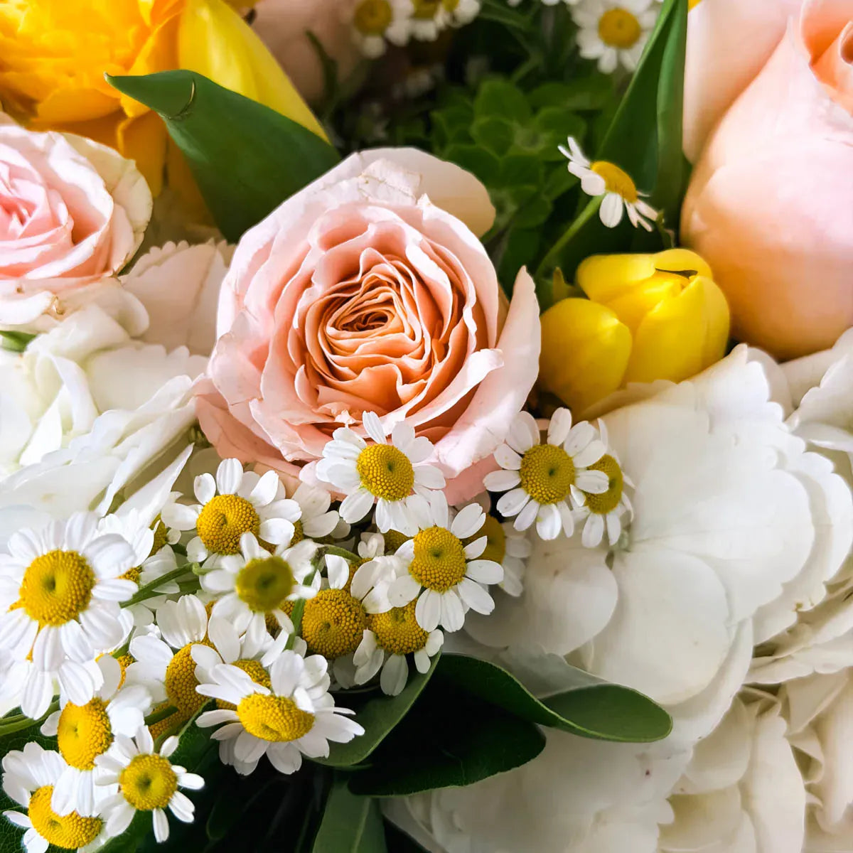 Bouquet of flowers including roses, tulips, and daisies with a close-up view.