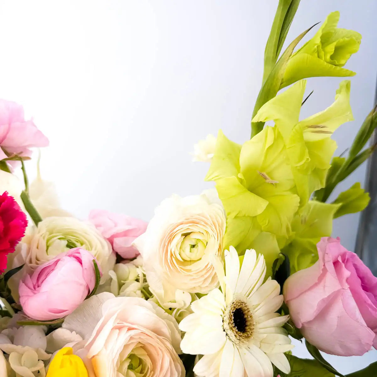 Close-up of Garden Waltz vase arrangement with pink ranunculus, blush garden rose, white gerbera daisy, and tall green gladiolus stems