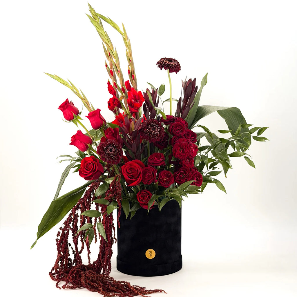 Gladiolus Noir luxury red flower box with gladiolus, roses and hanging amaranthus in black velvet — Flowers Valley Bay Area same-day delivery