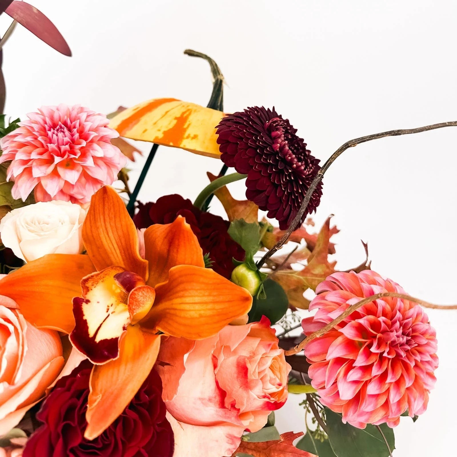 Close-up of Harvest Majesty Pumpkin Arrangement with orange orchid, rose, and pink dahlia