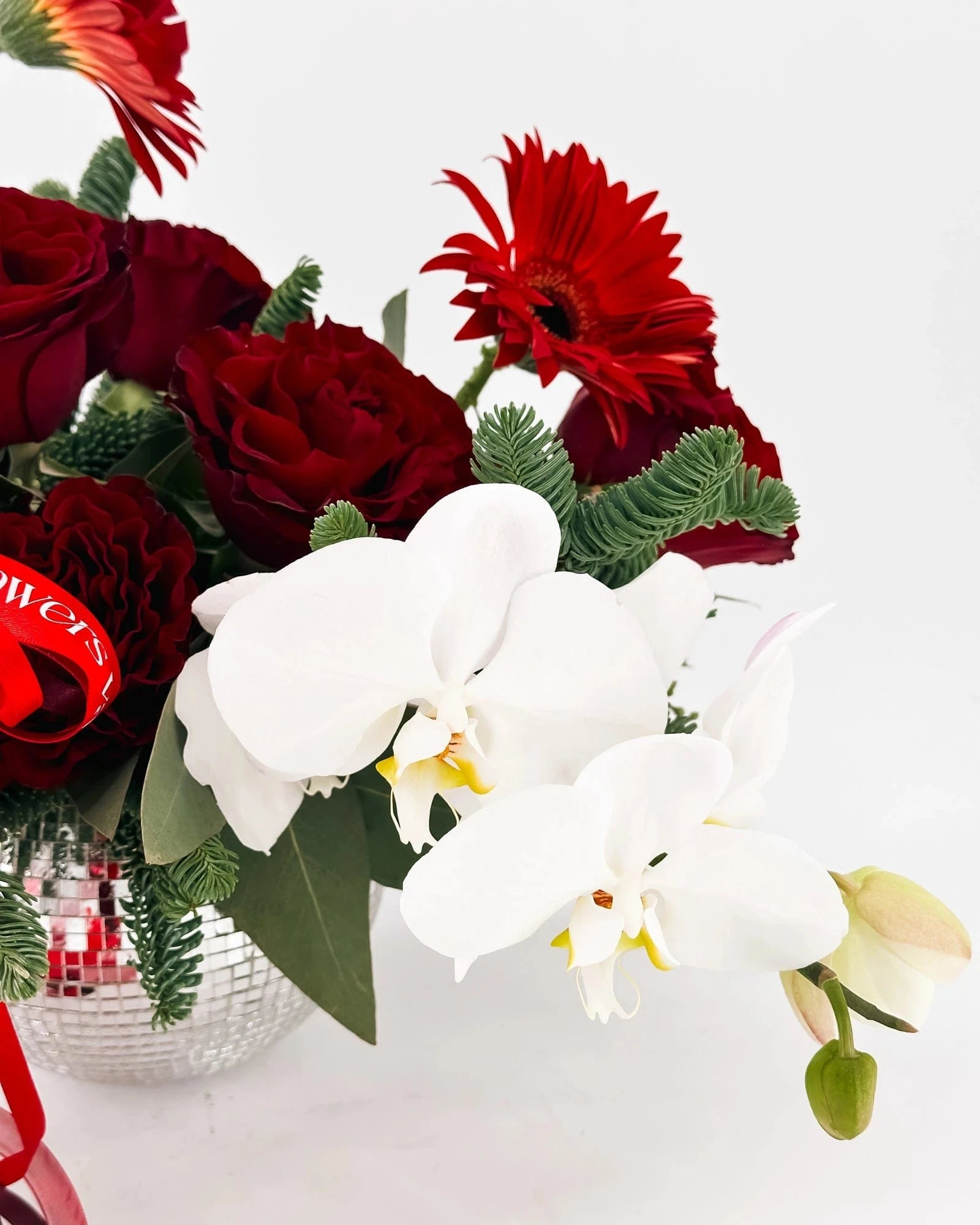 Close-up of white phalaenopsis orchids with red roses and evergreens in Holiday Radiance Arrangement