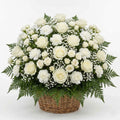 Sympathy flower basket with ivory roses, white carnations, baby’s breath, and fern greenery