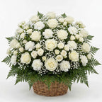Sympathy flower basket with ivory roses, white carnations, baby’s breath, and fern greenery