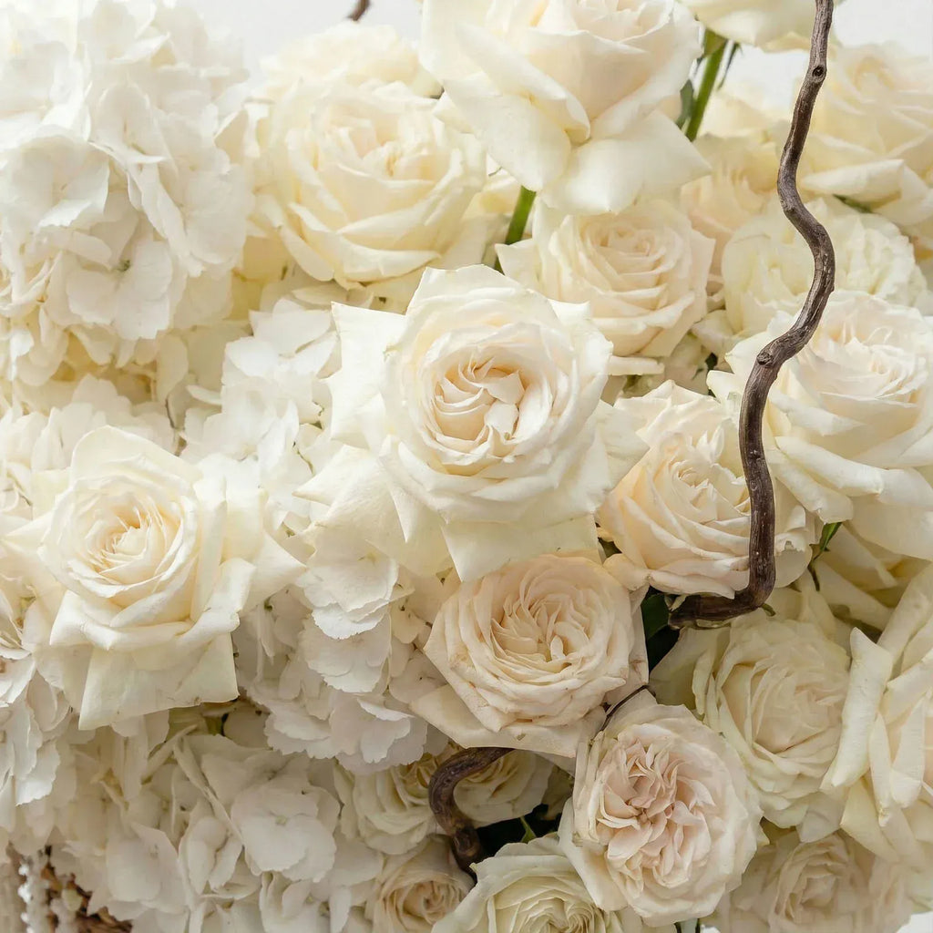 Close-up of ivory roses and white hydrangeas with sculptural branches
