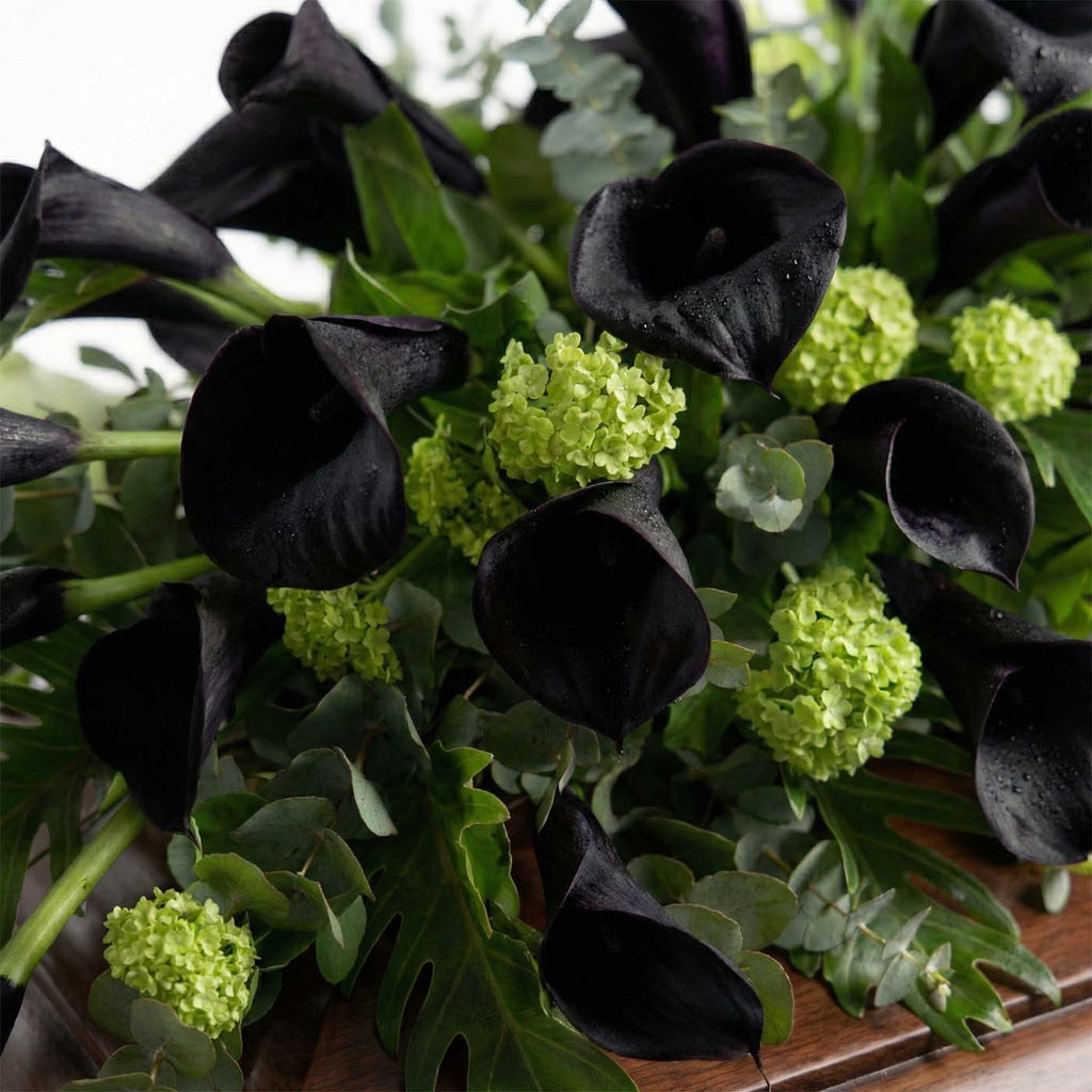 Close-up of calla lilies and hydrangea on casket arrangement