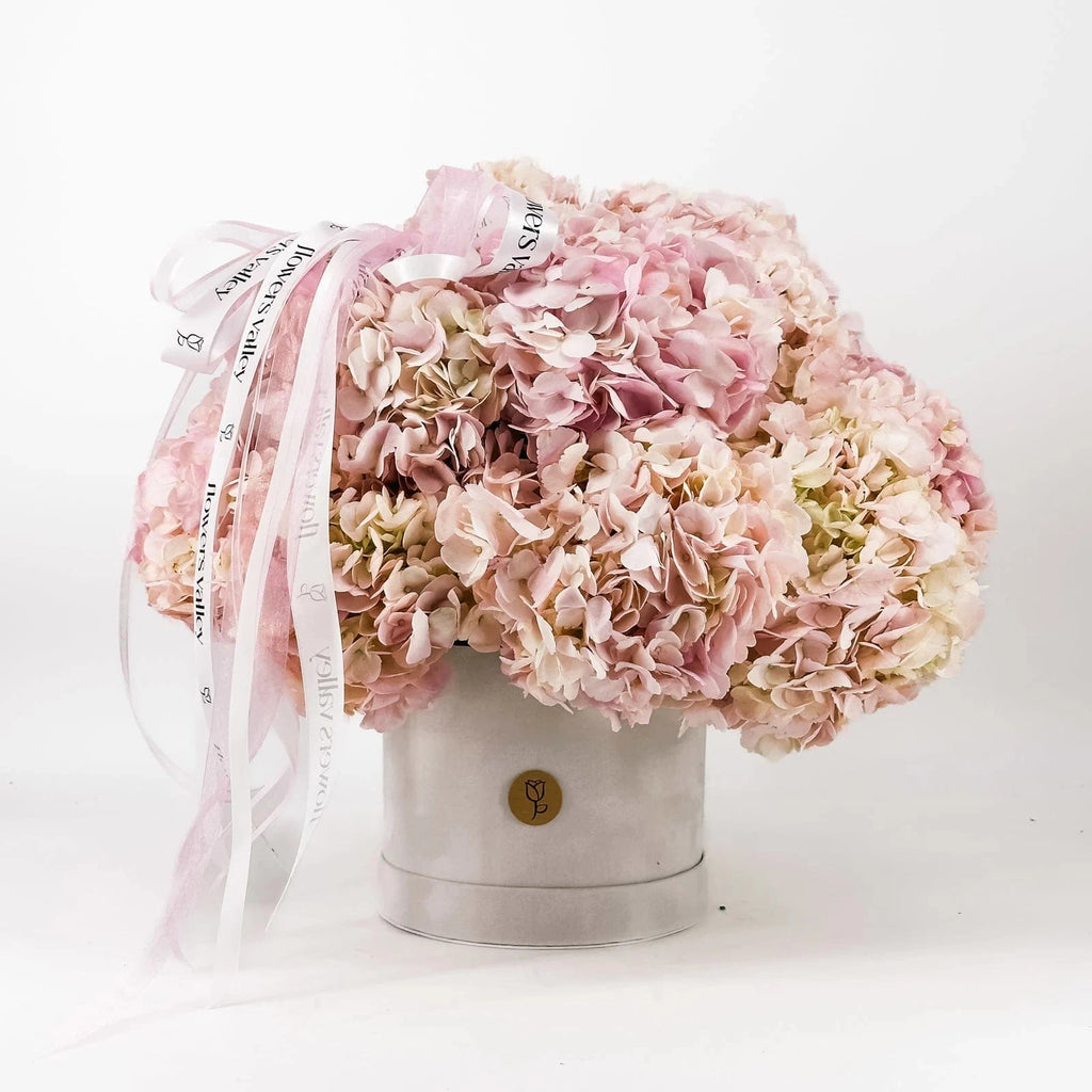 Pink Elegance Hydrangea Box with lush pink hydrangeas in velvet hatbox and ribbon accent