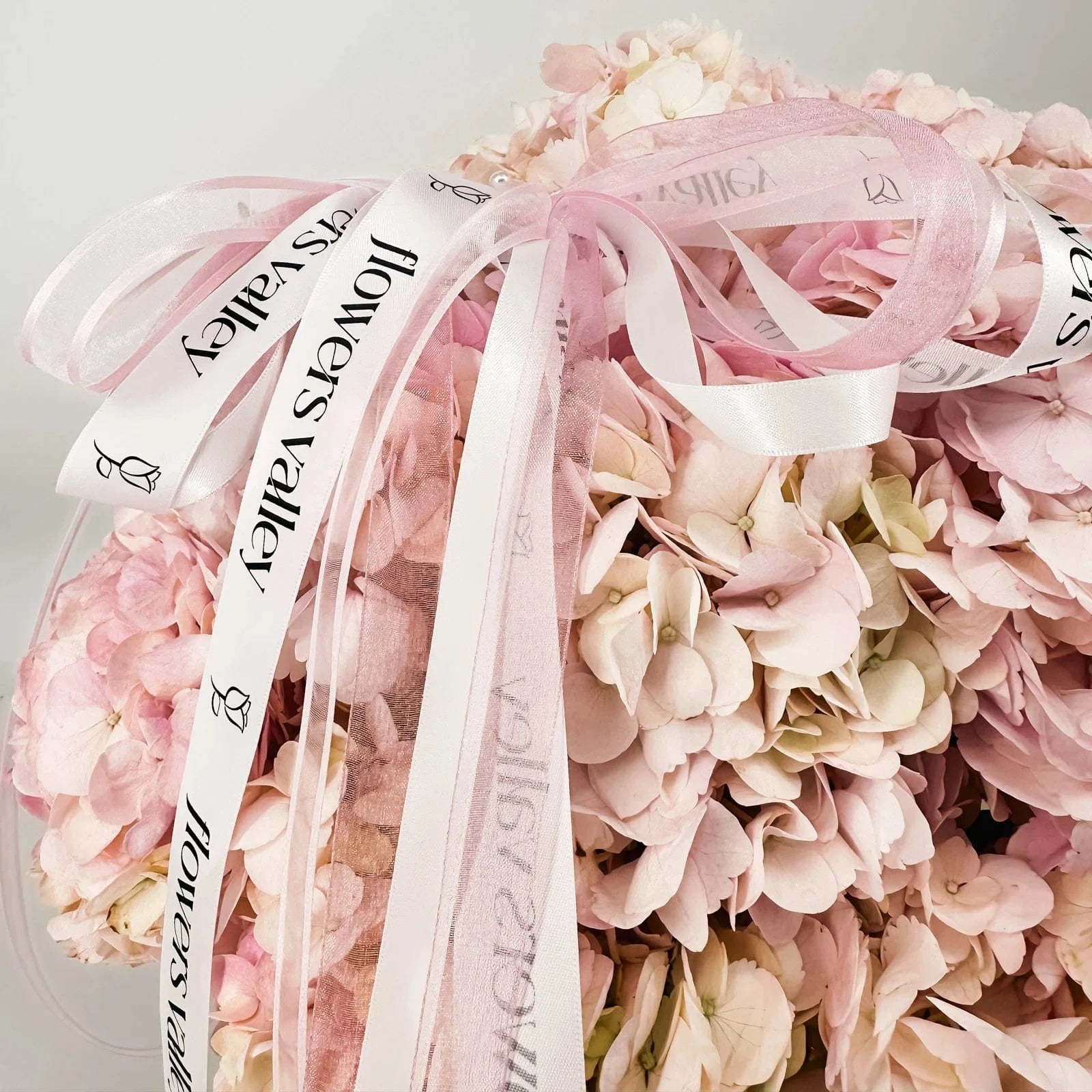 Close-up of pink hydrangeas with Flowers Valley signature ribbon in Pink Elegance Hydrangea Box