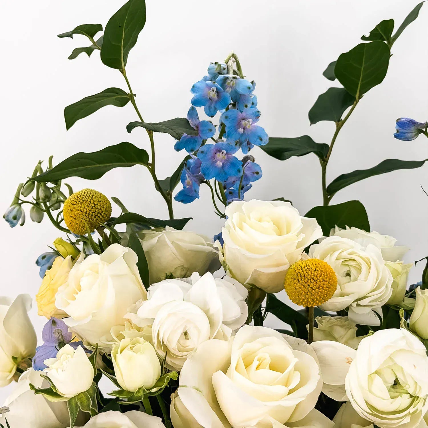 Close-up of white orchids and soft blue flowers in a sympathy floral arrangement