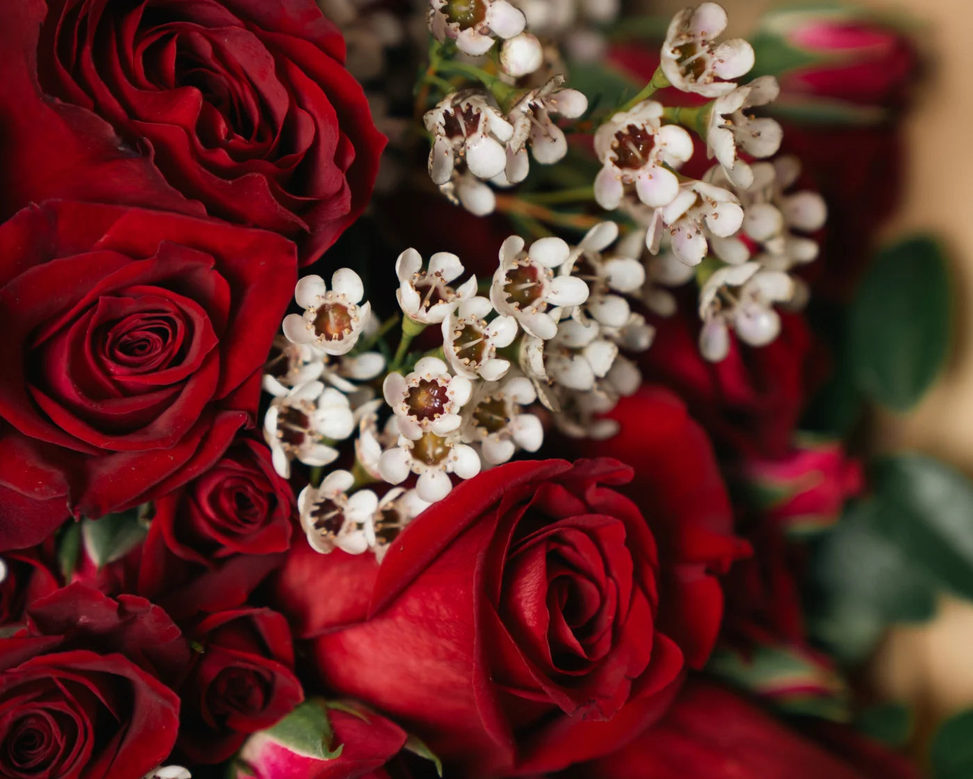 Close-up of red roses with white accent flowers in San Anselmo – Flowers Valley romantic bouquet delivery