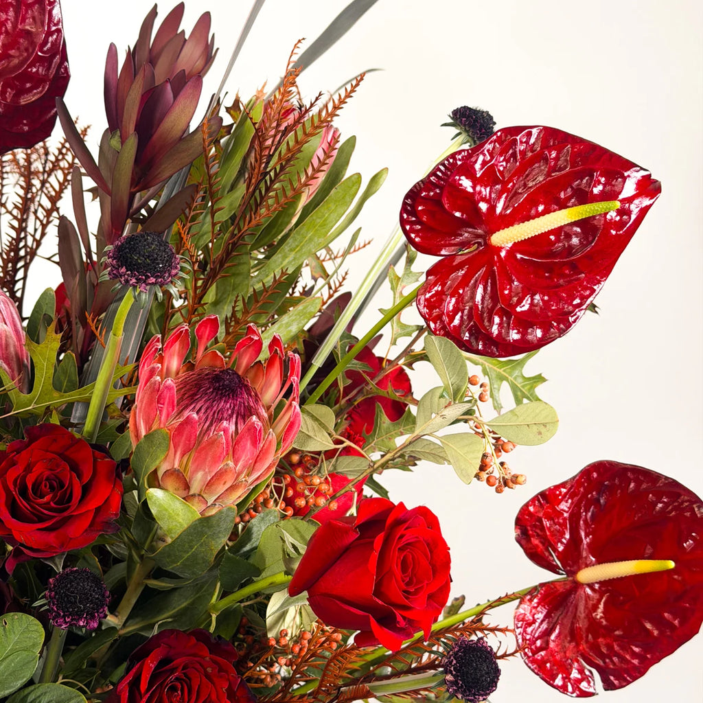 Close-up of red anthurium, red roses, pink protea and scabiosa pods in the Scorpio arrangement from the Flowers Valley Zodiac Collection