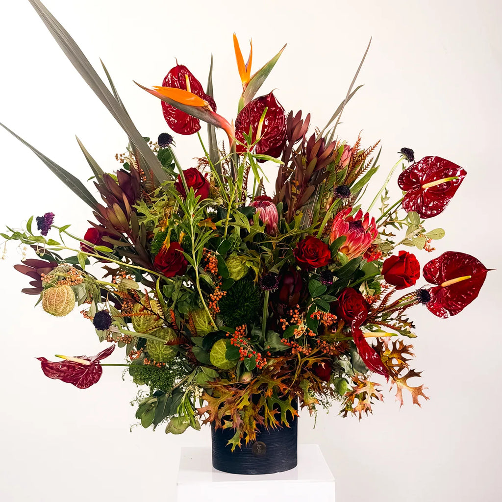 Scorpio zodiac flower arrangement with red anthurium, red roses, pink protea and bird of paradise in a black vase by Flowers Valley