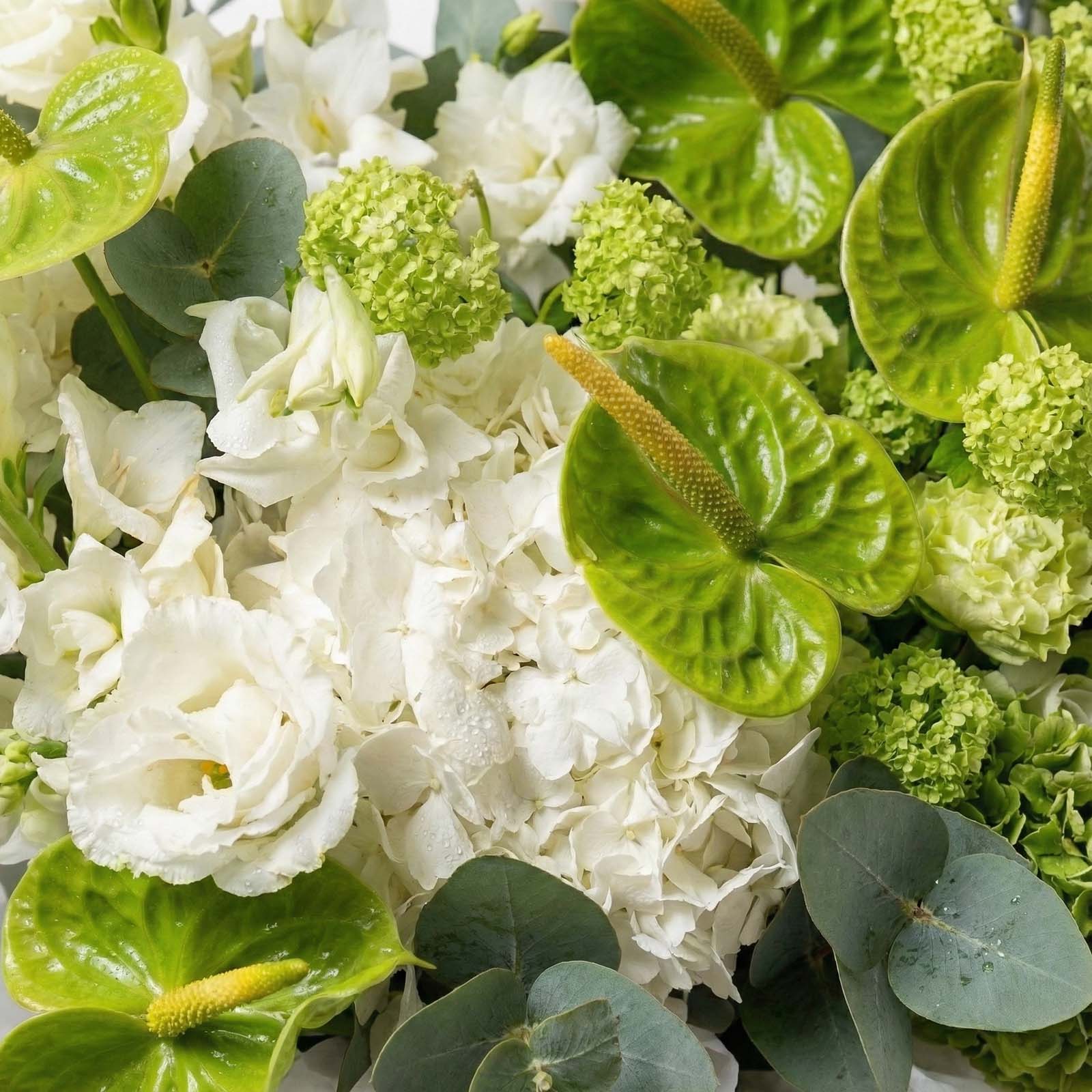 white anthurium flower arrangement Verdant Ivory Garden