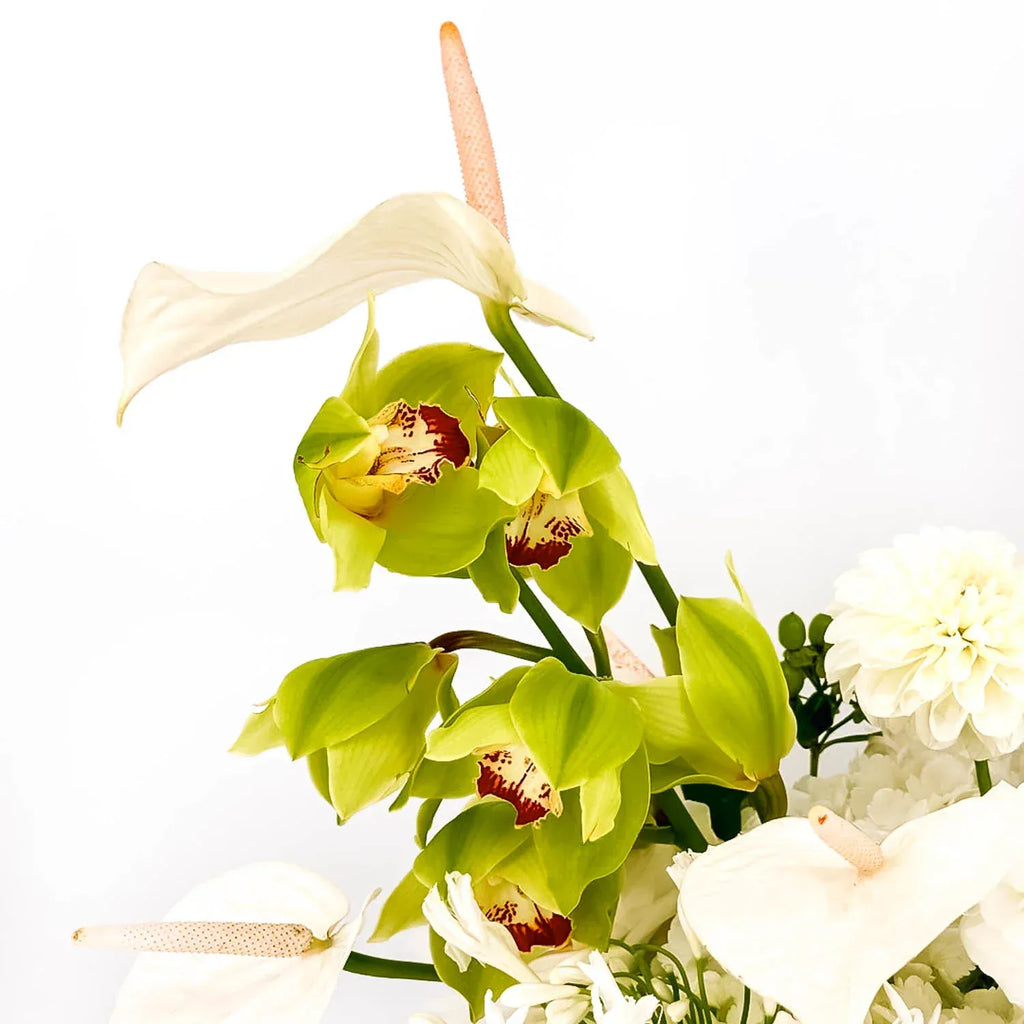 Close-up view of the urban serenity arrangement featuring orchids and anthuriums