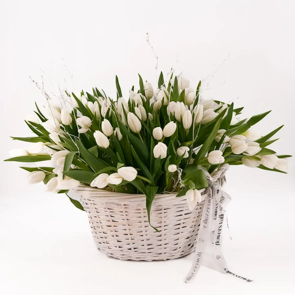 100 white tulip flower arrangement In a basket