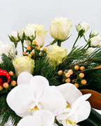 White phalaenopsis orchids with cream roses, berries, and pine greenery in Winter Grace Arrangement