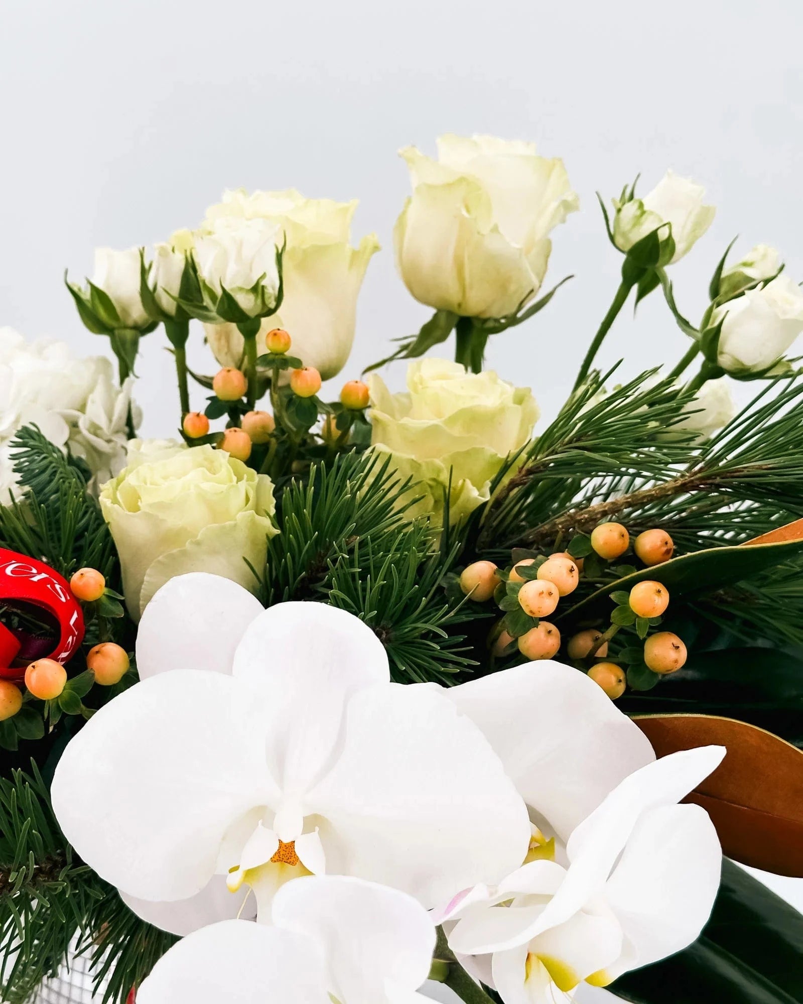 White phalaenopsis orchids with cream roses, berries, and pine greenery in Winter Grace Arrangement